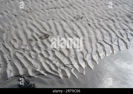 Détail des empreintes de pas dans le sable avec des motifs et des algues au bord de l’eau. Marazion Beach, Cornouailles, Angleterre, Royaume-Uni. Banque D'Images