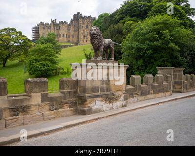 Pont traversant la rivière ALN soutenant la statue d'un lion debout à Alnwick, Northumberland, Royaume-Uni Banque D'Images