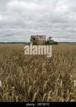 Ancienne ferme en briques dans la campagne avec nuages de tempête dans le ciel. Il y a un petit pré d'herbe et un vieux pommier autour de la maison. Banque D'Images