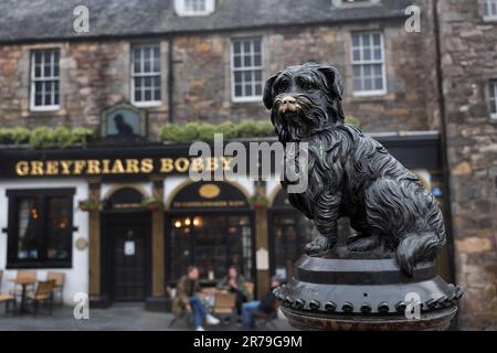 La statue et le bar Greyfriars Bobby dans la ville d'Édimbourg, en Écosse. Sculpture de bronze à un chien fidèle qui passe de longues années à sa tombe de maître, leav Banque D'Images