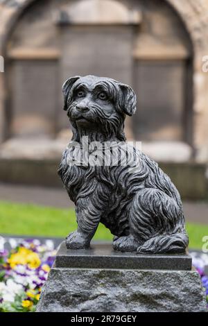 La statue de Bobby des Greyfriars à Édimbourg, en Écosse, au Royaume-Uni. Sculpture de bronze à un chien fidèle qui passe de longues années à la tombe de son propriétaire, ne laissant qu'à o Banque D'Images