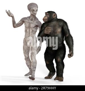 Singe humanoïde étranger et chimpanzé, 3D illustration Banque D'Images