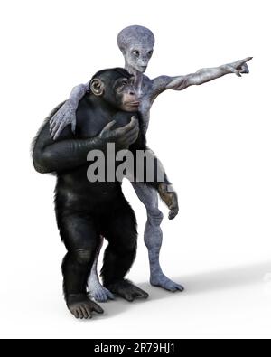 Singe humanoïde étranger et chimpanzé, 3D illustration Banque D'Images