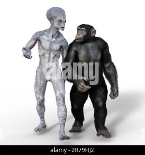 Singe humanoïde étranger et chimpanzé, 3D illustration Banque D'Images