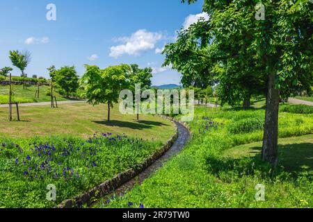 La gare d'Asahikawa et le jardin de Kitasaito à Asahikawa, Hokkaido, Japon Banque D'Images