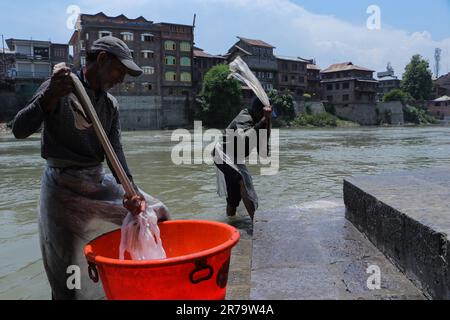 14 juin 2023, Srinagar, Jammu-et-Cachemire, Inde: Washermen lave les châles brodés de Kashmiri à côté de la rive de Jhelum, localement appelé 'Ghat, ' à Srinagar. (Credit image: © Adil Abbas/ZUMA Press Wire) USAGE ÉDITORIAL SEULEMENT! Non destiné À un usage commercial ! Banque D'Images