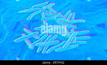 Bactéries Mycobacterium tuberculosis, l'agent causal de la tuberculose, 3D illustration, peut être utilisé pour M. leprae, le complexe de M. avium et d'autres myCob Banque D'Images