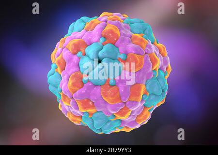 Parechovirus humain sur fond coloré, illustration de 3D. Les Parechovirus causent des infections respiratoires et gastro-intestinales, sont associés au cerveau d Banque D'Images