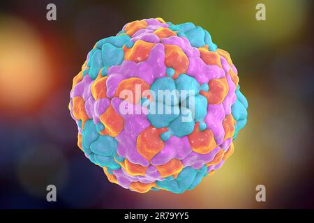 Parechovirus humain sur fond coloré, illustration de 3D. Les Parechovirus causent des infections respiratoires et gastro-intestinales, sont associés au cerveau d Banque D'Images