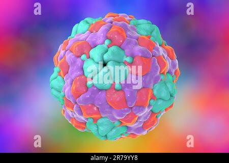 Parechovirus humain sur fond coloré, illustration de 3D. Les Parechovirus causent des infections respiratoires et gastro-intestinales, sont associés au cerveau d Banque D'Images