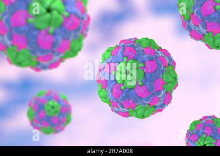 Parechovirus humain sur fond coloré, illustration de 3D. Les Parechovirus causent des infections respiratoires et gastro-intestinales, sont associés au cerveau d Banque D'Images