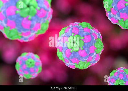 Parechovirus humain sur fond coloré, illustration de 3D. Les Parechovirus causent des infections respiratoires et gastro-intestinales, sont associés au cerveau d Banque D'Images