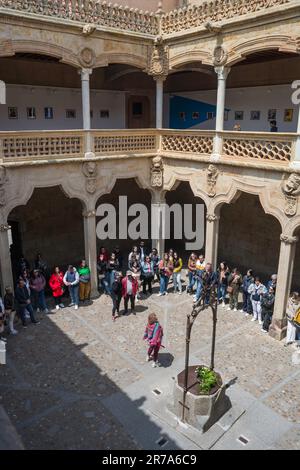 Europe tour group, vue en été des touristes écoutant leur guide dans la cour patio de la Casa de las Conchas à Salamanque, Espagne Banque D'Images