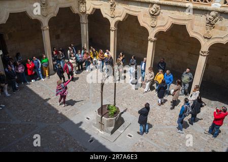 Tour Group Europe, vue en été des touristes écoutant leur guide dans la cour patio de la Casa de las Conchas à Salamanque, Espagne Banque D'Images