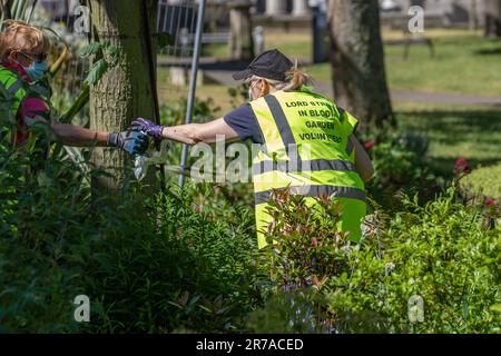 Jardiniers bénévoles Hi-vis à Southport, Merseyside. Météo Royaume-Uni 14 juin 2023. La Grande-Bretagne en fleur. Lords Street Garden Volunteers assistent à des jardins de ville surcultivés à Southport. L'entretien du jardin est généralement effectué par des employés qualifiés du conseil. Banque D'Images