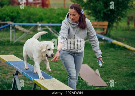 Une femme s'empresse de jouer avec son chien agilité en marchant sur une bascule ou un rocker Banque D'Images