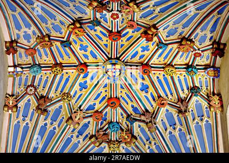 Vaulne gothique, cathédrale de Winchester, Angleterre, Royaume-Uni Banque D'Images