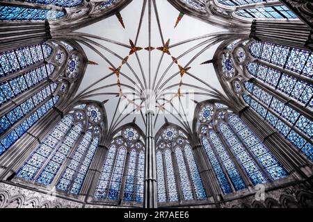 Coffre-fort de fans dans la maison de chapitre à la cathédrale de Salisbury, Wiltshire, Angleterre, Royaume-Uni Banque D'Images