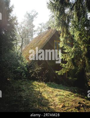 Ancienne maison au milieu de la forêt Banque D'Images