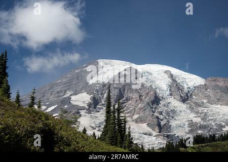 Un paysage pittoresque avec une haute montagne enneigée et des pins à feuilles persistantes au premier plan, illuminés par le soleil éclatant Banque D'Images