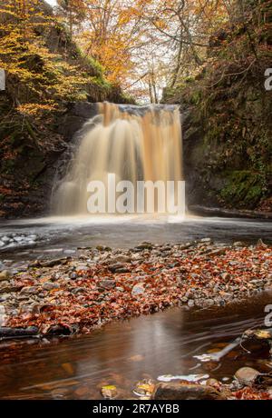 Une scène tranquille d'une cascade descendant dans une rivière, avec des feuilles d'automne éparpillées autour des rives Banque D'Images