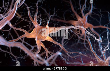 Neurones également appelés neurones ou cellules nerveuses. Les neurones transmettent des informations entre différentes parties du cerveau et entre le cerveau et le reste du Banque D'Images