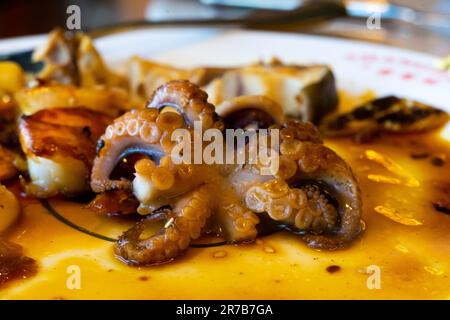 Pieuvre galicienne grillée avec sauce sur l'assiette dans le restaurant en gros plan Banque D'Images