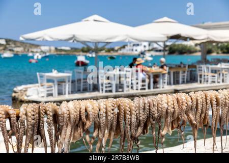 Poulpe séchant au soleil à l'extérieur d'une taverne sur l'île de Paros, Grèce Banque D'Images