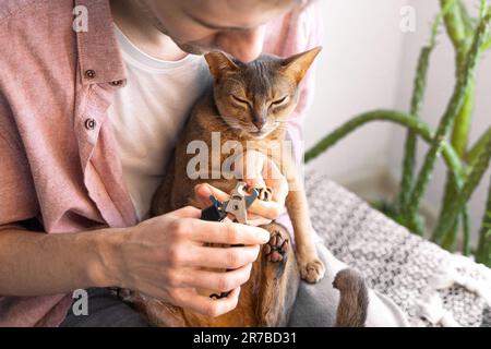 Griffes de chat s d'écrêtage. Blanc caucasien Homme en chemise rose et t-shirt blanc à l'aide de ciseaux, tond les ongles de son chat à la maison. Concept de soins de santé pour animaux de compagnie et Banque D'Images