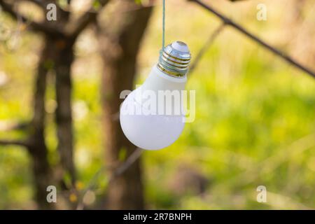 ampoule à économie d'énergie accrochée à une corde sur un arbre Banque D'Images