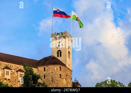 2023 gagnants NK olipija ljubljiana fans accrochent la crête du club du sommet de la tour de l'horloge du château de ljubljiana surplombant la vieille ville Banque D'Images