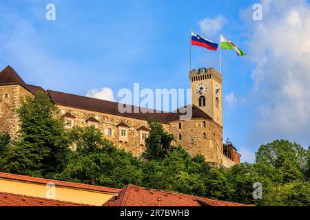 2023 gagnants NK olipija ljubljiana fans accrochent la crête du club du sommet de la tour de l'horloge du château de ljubljiana surplombant la vieille ville Banque D'Images