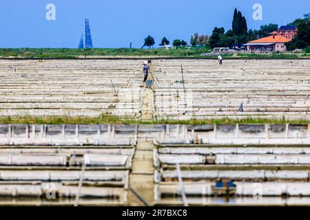 vue sur les chemins étroits et les digues qui tapissent les casseroles salées de piran comme les travailleurs utilisent de vieux outils en bois pour entretenir les poêles et la base de pétola Banque D'Images