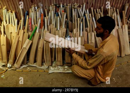 12 juin 2023, Srinagar Kashmir, Inde : Un ouvrier trie diverses chauves-souris crues de GR8 grillons dans une unité de fabrication à Sangam, à environ 38 kilomètres au sud de Srinagar. Les fabricants de chauves-souris du Cachemire ont reçu une commande pour que les chauves-souris soient utilisées lors de la coupe du monde 2023 One Day International (ODI); ils ont même déjà reçu une commande pour 10 chauves-souris pour la coupe du monde Twenty20 (T20) en 2022. Seulement deux types de chauves-souris sont utilisés dans le cricket dans le monde entier - le saule anglais et le saule de Kashmiri - et tandis que les prix du saule anglais sont beaucoup plus élevés que ceux faits de saule de Cachemire et sont plus souvent utilisés par pla Banque D'Images