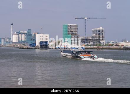 Woolwich, Londres - 14 mai 2023 : UberBoat de Thames Clipper se dirige vers le terminal de ferry de Woolwich sur Thames Banque D'Images