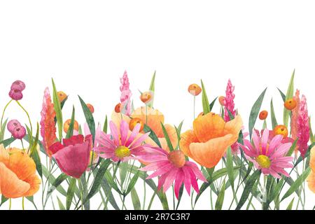 Bordure fleurie sans couture avec fleurs sauvages abstraites, plantes et branches délicates, imprimé aquarelle isolé sur fond blanc pour le textile ou Banque D'Images