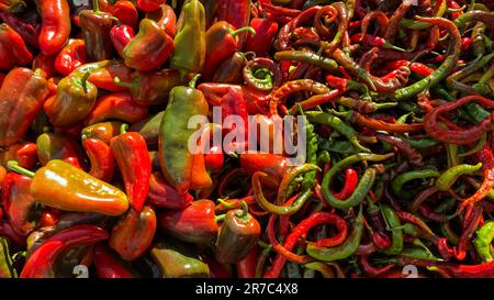 Un gros plan vibrant d'un assortiment de piments rouges biologiques de diverses couleurs disposés dans un tas Banque D'Images