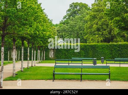 Magnifique paysage panoramique avec soleil et forêt et prairie au lever du soleil. Les rayons du soleil brillent à travers les arbres Banque D'Images