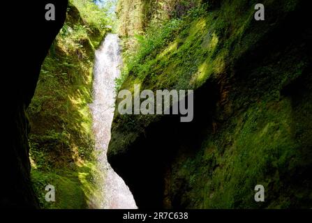 Chute d'eau et Canyon de Sombrio Beach. La cascade cachée à l'intérieur d'un canyon de mousse à la plage de Sombrio, sur l'île de Vancouver, au Canada. Partie du Juan de Fuca tr Banque D'Images