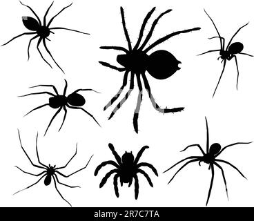 Collection silhouettes araignées - vecteur Illustration de Vecteur
