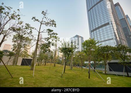 SHENZHEN, CHINE - 27 NOVEMBRE, 2019: Shenzhen paysage urbain dans la soirée. Banque D'Images