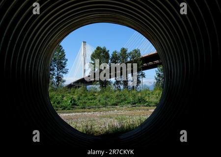Pont de Port Mann au-dessus du fleuve Fraser. Sunny Summer Surrey, Vancouver, Colombie-Britannique, Canada 2023 Banque D'Images