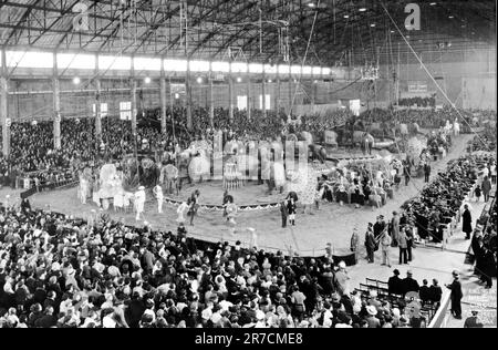 New York, New York : 1929. Le cirque combiné Ringling Brothers et Barnum & Bailey organise un spectacle de cinq anneaux au Colisée dans le Bronx. Banque D'Images