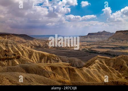 WADI ZIN SDE BOKER KIBBUTZ NEGEV ISRAËL Banque D'Images