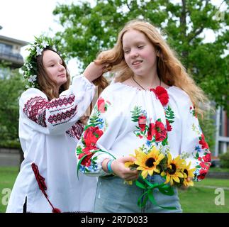 belles jeunes femmes filles tissage couronnes marche rire bavarder dans le parc dans le jardin brodé national ukrainian chemises couronnes de fleurs de tournesol et forêt blanc fleurs magnifique vyshyvanka Banque D'Images