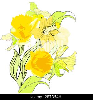 Carte avec fleurs Narcisse Illustration de Vecteur