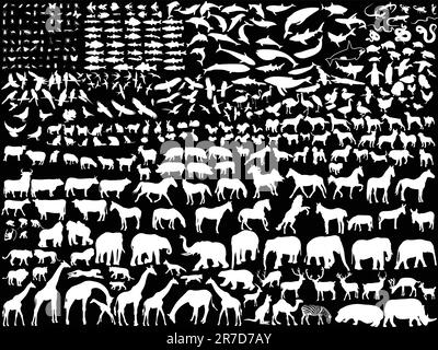 blancs différents animaux - vecteur Illustration de Vecteur