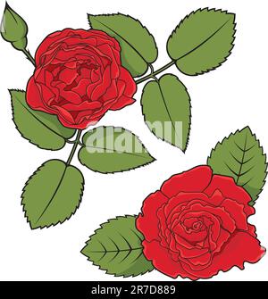 Illustration de deux coins roses décoratifs isolés sur fond blanc. Illustration de Vecteur