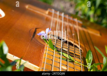 la guitare marron en bois se trouve sur l'herbe au printemps au soleil Banque D'Images