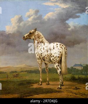 Paulus Potter, le cheval Piebald, peinture à l'huile sur toile, 1650-1654 Banque D'Images